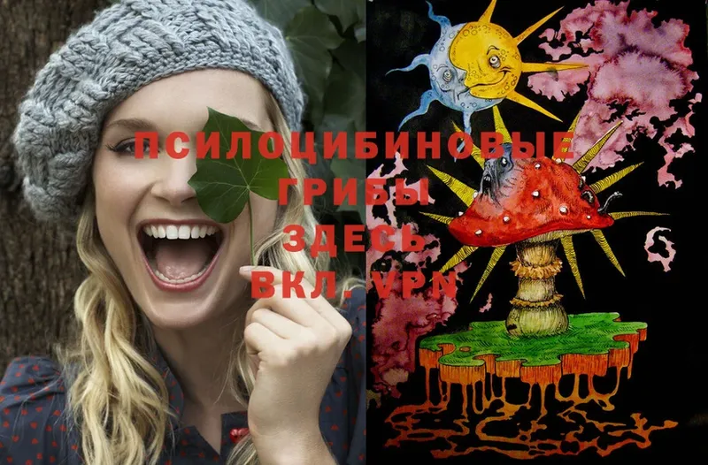 hydra ссылка  Калязин  Галлюциногенные грибы Psilocybe  купить наркотики цена 